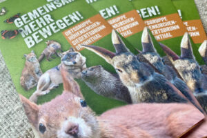 Projektreferenz Flyer BUND Naturschutz
